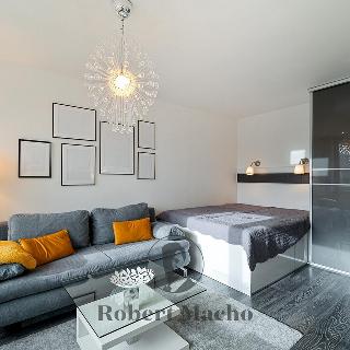 Pronájem bytu 1+1 29 m² Praha