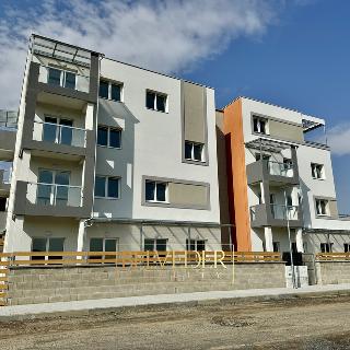 Pronájem bytu 4+kk 110 m² Teplice, Albrechtova