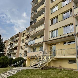 Pronájem bytu 3+1 75 m² Teplice, Přítkovská