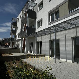 Prodej bytu 2+kk 70 m² Teplice, Albrechtova