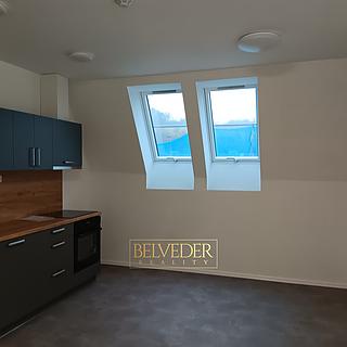 Pronájem bytu 3+kk 48 m² Teplice