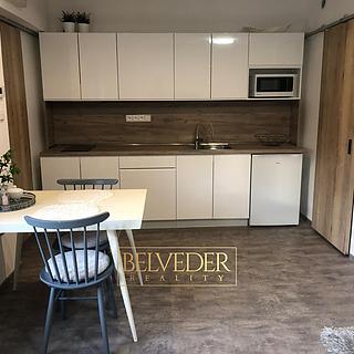 Pronájem bytu 1+kk, garsoniery 32 m&sup2; Teplice