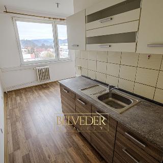 Prodej bytu 3+1 77 m² Ústí nad Labem, U Pivovarské zahrady