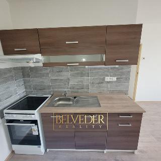 Pronájem bytu 2+kk 40 m² Teplice, Zelená