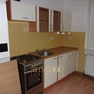 Pronájem bytu 3+1 70 m² Teplice, Pod Doubravkou