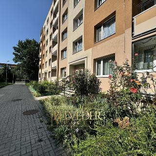 Prodej bytu 1+1 36 m² Duchcov, Osecká