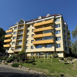 Prodej bytu 2+kk 52 m² Teplice, Březová