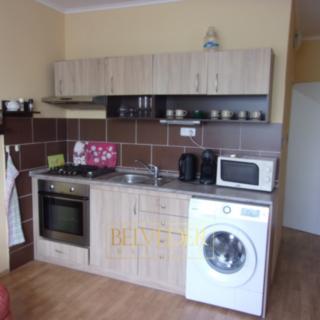Pronájem bytu 1+1 35 m² Teplice, Palackého