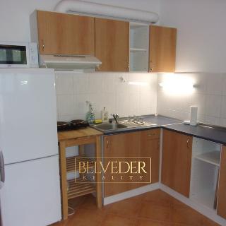 Pronájem bytu 1+kk a garsoniéry 28 m² Ústí nad Labem, Baráčnická