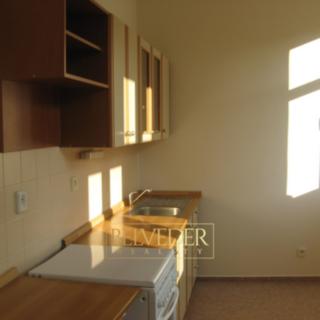 Pronájem bytu 1+1 45 m² Teplice, U Hadích lázní