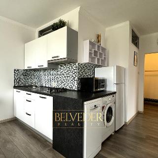 Pronájem bytu 2+1 55 m² Teplice, Jankovcova