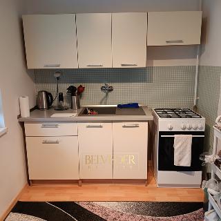 Pronájem bytu 2+kk 34 m² Teplice, Palackého