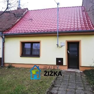 Pronájem rodinného domu 267 m² Hustopeče, Nerudova