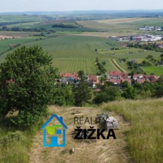 Prodej zahrady 942 m² Viničné Šumice