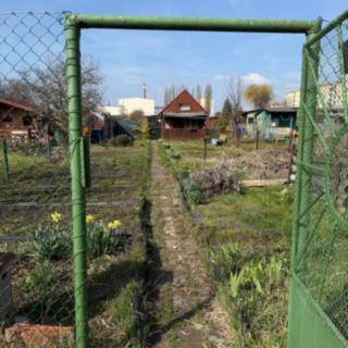 Prodej zahrady 192 m² Podbořany, Palackého