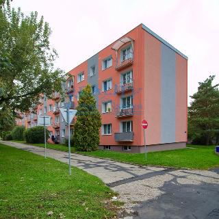 Prodej bytu 3+1 62 m² Roudnice nad Labem, Michálkova