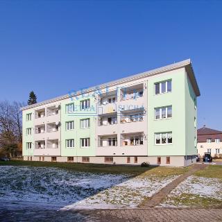 Pronájem bytu 3+1 73 m² Dolní Beřkovice