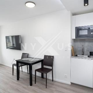 Prodej bytu 1+kk a garsoniéry 32 m² Praha, Roháčova