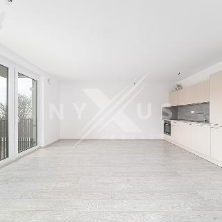 Pronájem bytu 2+kk 56 m² Praha, Bachova