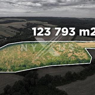 Prodej ostatních pozemků 123793 m² Zbraslavice