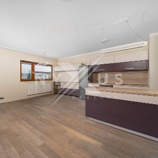 Pronájem bytu 1+kk a garsoniéry 52 m² Praha, Eberlova