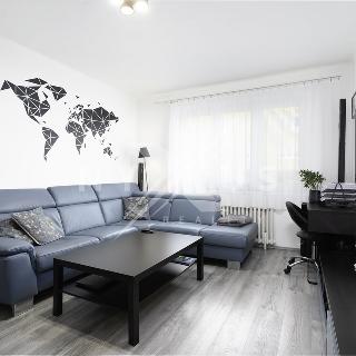 Prodej bytu 3+1 67 m² Nový Knín, Sídliště