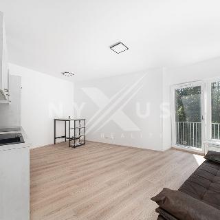 Prodej bytu 1+kk a garsoniéry 30 m² Praha, Pod areálem