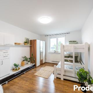 Prodej bytu 1+1 36 m² Znojmo, Pražská