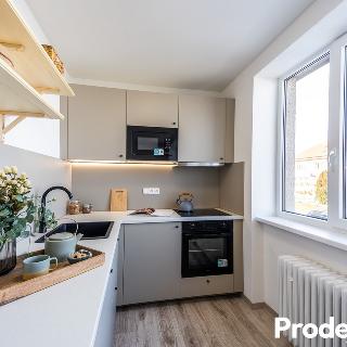 Prodej bytu 3+1 65 m² Dyje, 