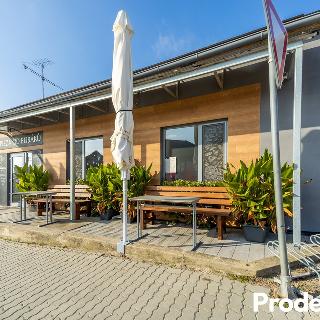 Prodej restaurace 56 m² Kuchařovice, 8.Května