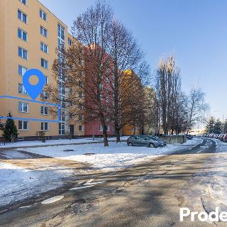 Prodej bytu 4+1 82 m² Brno, Pod nemocnicí