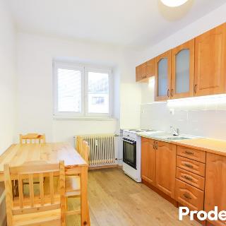 Pronájem bytu 2+1 50 m² Žďár nad Sázavou, Okružní