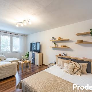 Prodej bytu 2+1 64 m² České Budějovice, J. Opletala