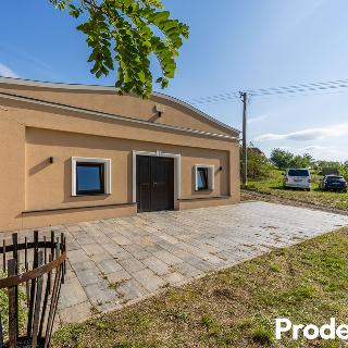 Prodej vinného sklepa 182 m² Dyjákovice, 