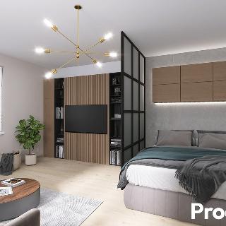 Prodej bytu 1+1 43 m² Znojmo, Jarošova