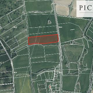 Prodej zemědělské půdy 16 840 m² Žákava