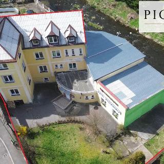 Prodej hotelu a penzionu 565 m² Březová, Hamerská