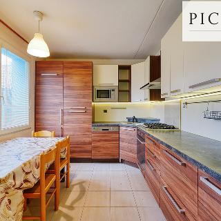 Pronájem bytu 3+1 76 m² Plzeň, Břeclavská