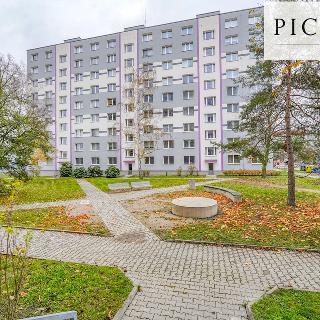 Prodej bytu 2+1 65 m² Plzeň, Zábělská