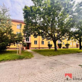 Pronájem bytu 3+kk 61 m² Štětí, U stadionu