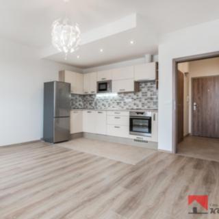 Pronájem bytu 1+kk a garsoniéry 35 m² Praha, Federova