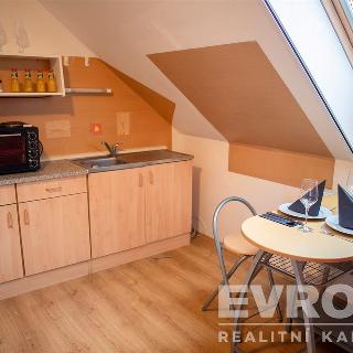 Prodej bytu 1+kk a garsoniéry 23 m² Mikulov, Na Jámě