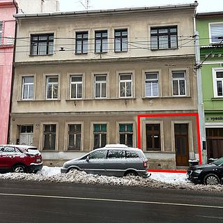 Pronájem bytu 1+1 42 m&sup2; Teplice