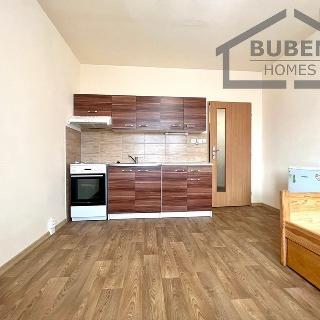 Pronájem bytu 1+kk a garsoniéry 21 m² Tachov