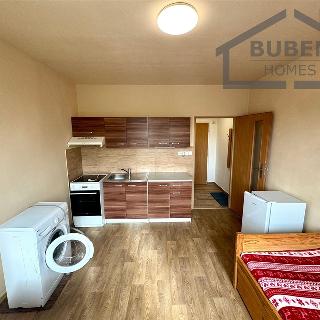 Pronájem bytu 1+kk a garsoniéry 21 m² Tachov, Bělojarská