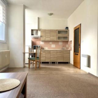 Pronájem bytu 1+kk, garsoniery 41 m² Tachov