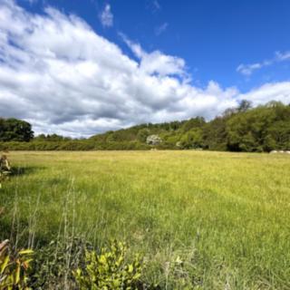 Prodej zemědělské půdy 46 428 m² Kočov, 
