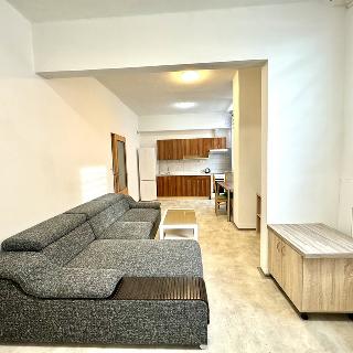 Pronájem bytu 1+kk a garsoniéry 43 m² Tachov, Bělojarská