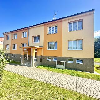 Prodej bytu 3+1 73 m² Bor, Sokolská