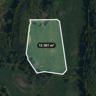 Prodej zemědělské půdy 12 381 m² Lom u Tachova, 